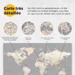 Carte du monde à épingles Gris Crème Détaillé détaillé