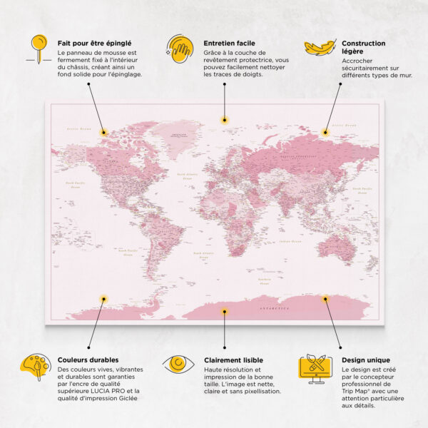 Carte du monde à épingles Rose Détaillé caractéristiques