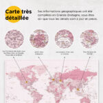 Carte du monde à épingles Rose Détaillé détaillé