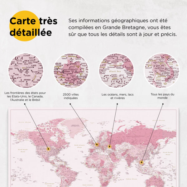 Carte du monde à épingles Rose Détaillé détaillé