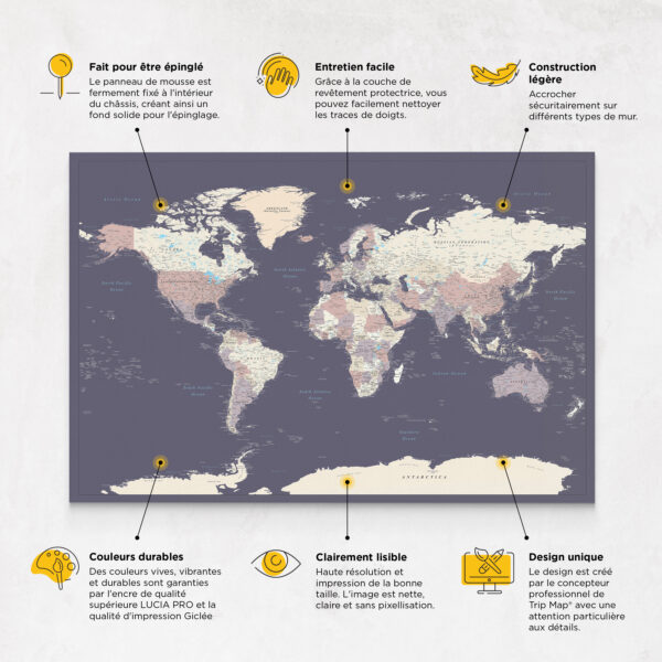Carte du monde à épingles Violet Détaillé caractéristiques
