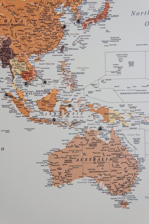 Carte du monde avec epingles Marron Détaillé
