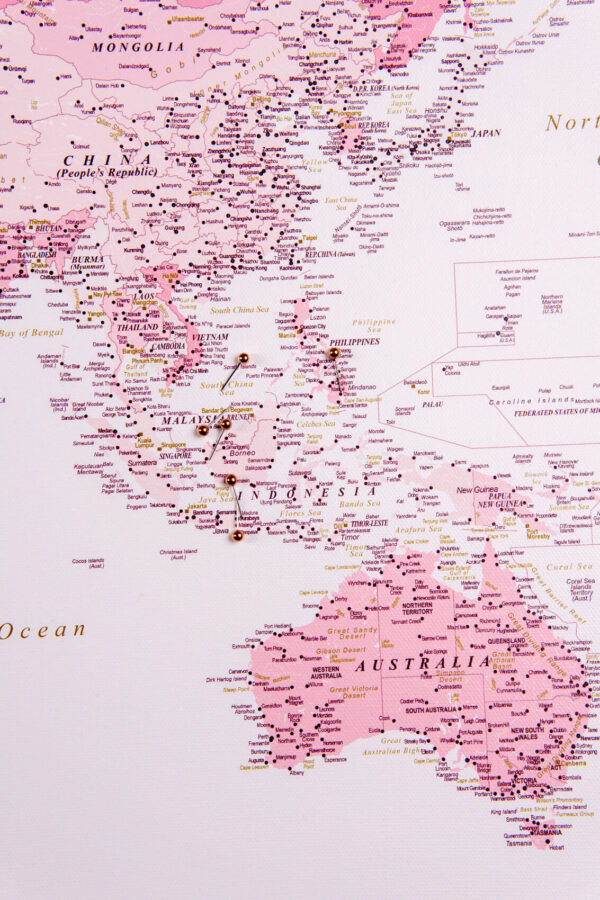 Carte du monde avec punaises Rose Détaillé