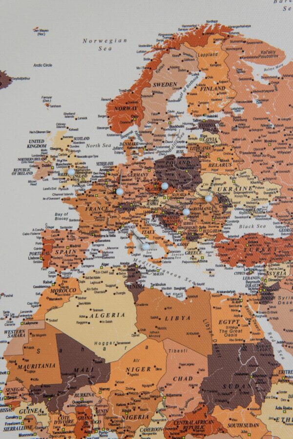 Carte du monde avec pushpins Marron Détaillé