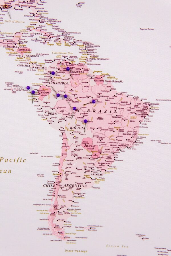 high detailed push pin pink map of the world