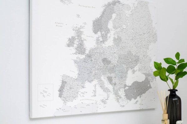 Carte de l’Europe Gris Détaillé tripmap