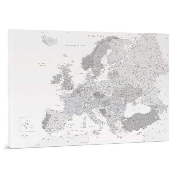 Carte de l’Europe avec épingles Gris Détaillé tripmap.fr