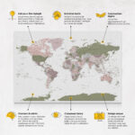 Carte du monde à épingles Vert Violet Détaillé caractéristiques