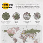 Carte du monde à épingles Vert Violet Détaillé information