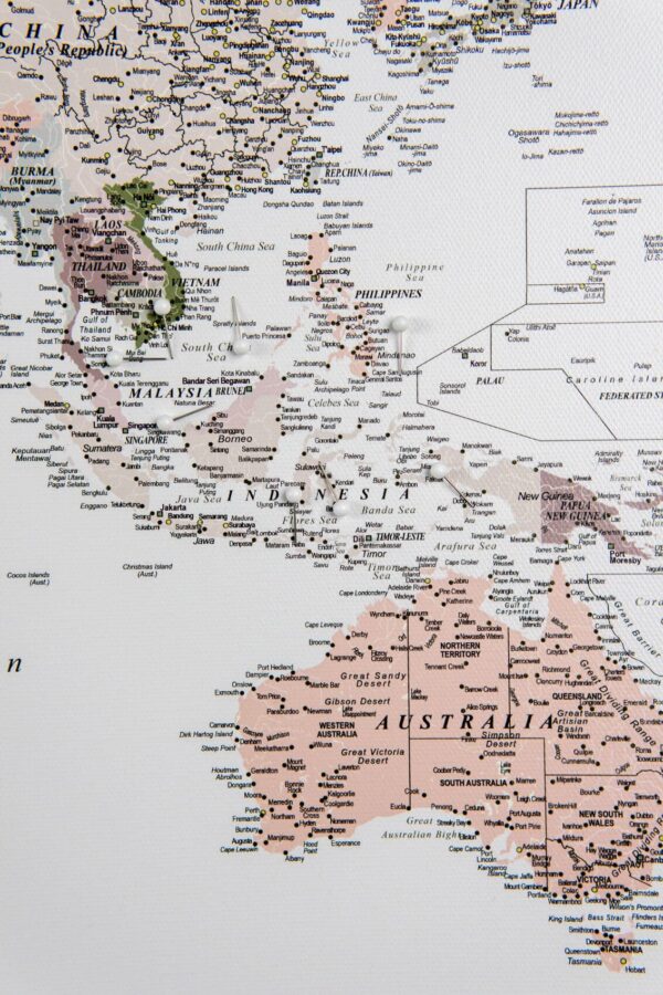 Carte du monde avec punaises Vert Violet Détaillé