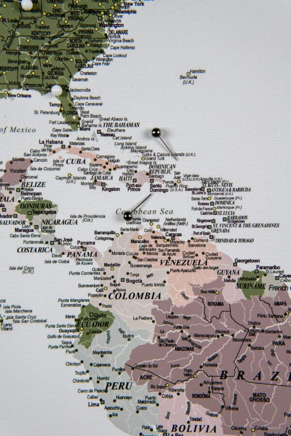 Carte du voyage a epingles Vert Violet Détaillé