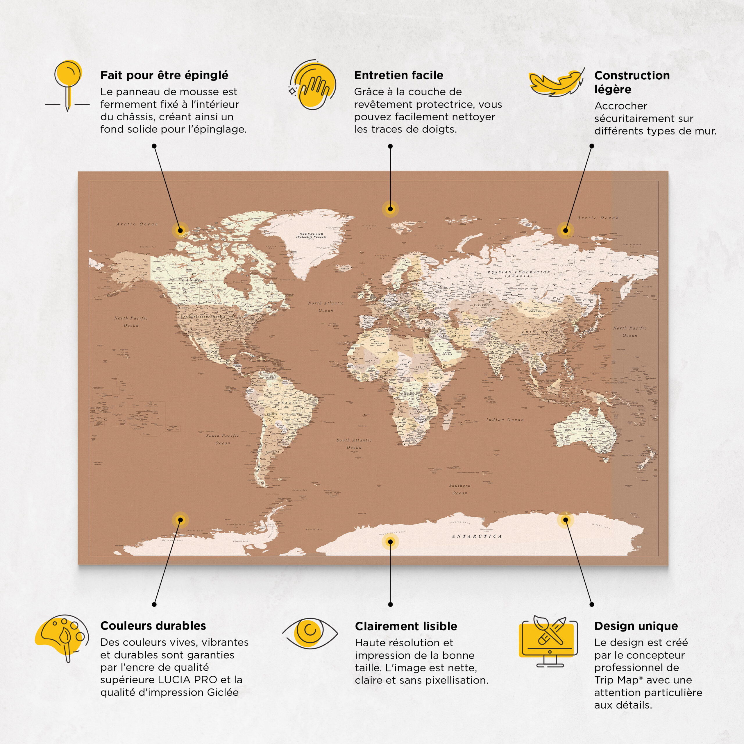 Carte du monde à épingles - Marron / beige (Détaillé) 