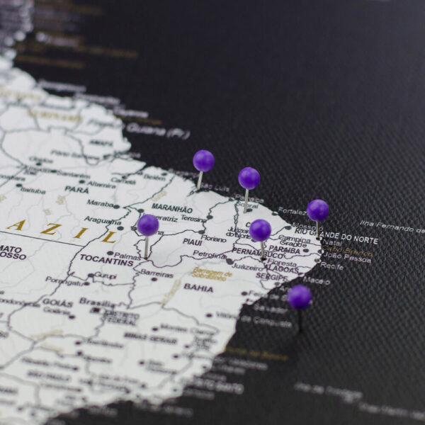violet pushpins de carte Tripmap fr