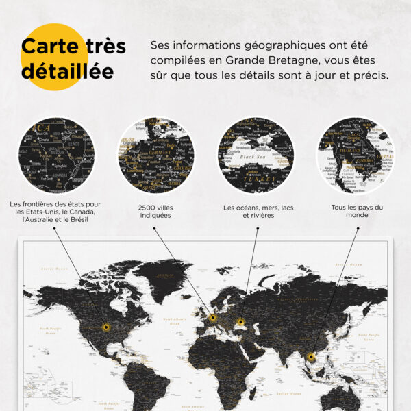 Carte du monde à épingles Noir et blanc Détaillé information