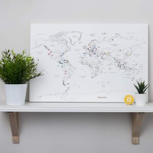 canvas world map pin white