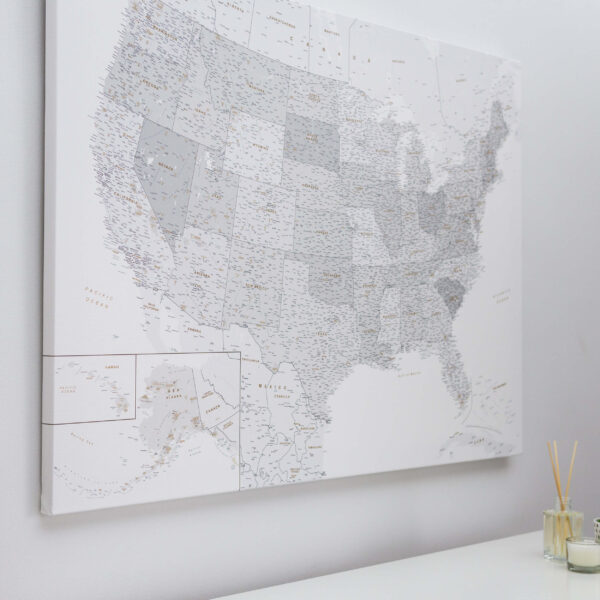 Carte des États-Unis Gris Blanc Détaillé tripmap