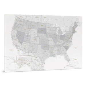 Carte des États Unis à épingles Gris Blanc Détaillé tripmap.fr