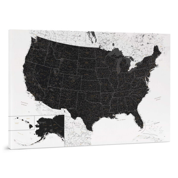 Carte des États Unis à épingles Noir et blanc Détaillé tripmap.fr