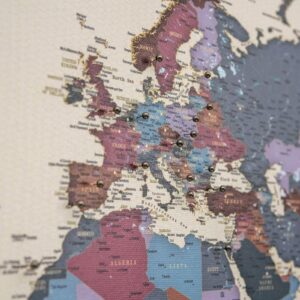 Carte du monde a epingles Raisins Détaillé