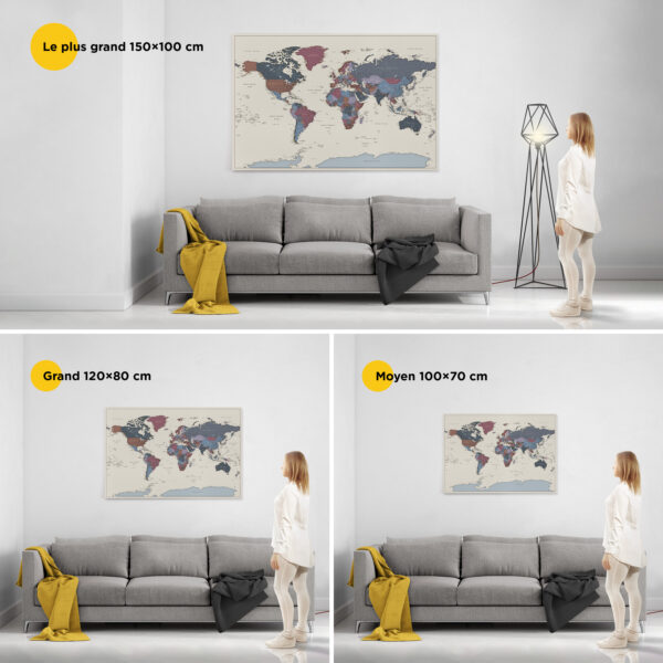 Carte du monde à épingles Raisins Détaillé taille