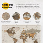 Carte du monde à épingles Safari Détaillé information