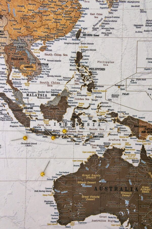 Carte du monde avec epingles Safari Détaillé