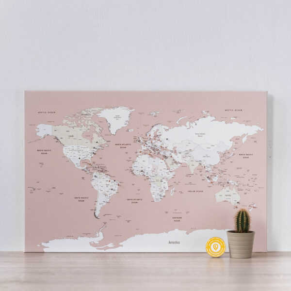 rose carte du monde voyage punaise