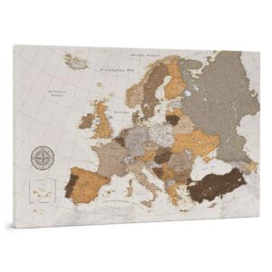 Carte de l'Europe avec épingles Safari