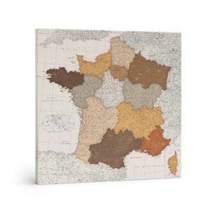 2FR Carte de France avec épingles - Safari (Détaillé)